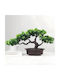 Künstliches Bonsai – Dekoratives Topfpflanze Baum Für Innenräume