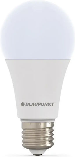Blaupunkt LED Bulb 18W 135mm for E27 Socket and Shape A60 Cool White