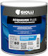 Giolli Email Acrilic Alb 750ml 1.22kg 0272001.007