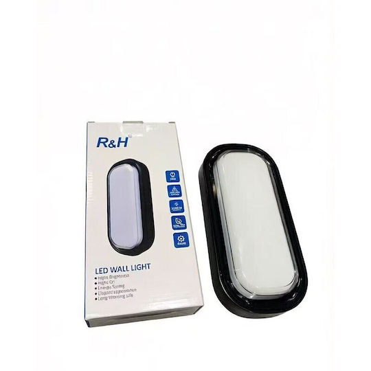 Wall-Mounted Outdoor LED Light 6000K