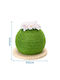 Nobleza Scratching Post Green 23x23cm