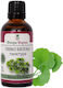 Flora Pharma Тинктура Ginkgo Biloba 500mg 50ml