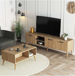 SteweHome SteweHome Studentenmöbel-Set Wohnzimmer & Esszimmer 2 Stücke STE-020195-P20195
