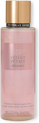 Victoria's Secret Shimmer Body Mist Velvet Peta...