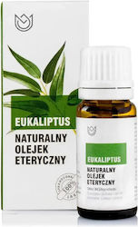 Eucalyptus Essential Oil 10ml