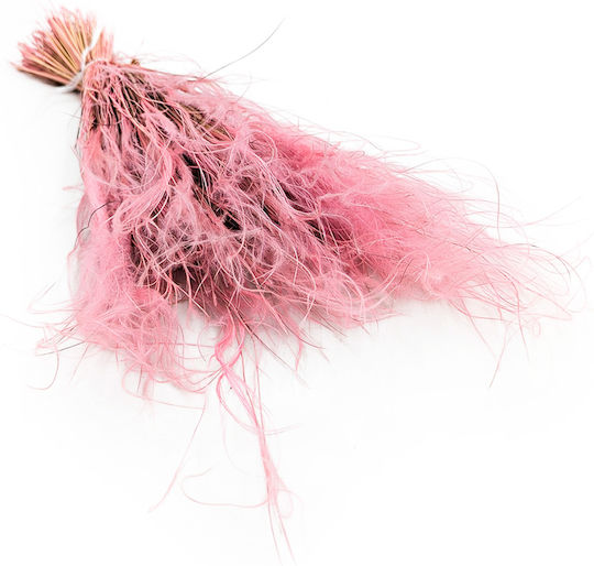 Dried Stipa Feather Grass Stipa Pennata Antique Pink