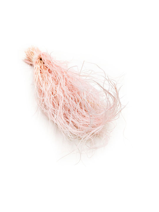 Dried Stipa Feather Grass Stipa Pennata Pink