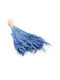 Dried Mini Quaking Grass Briza Minima Blue
