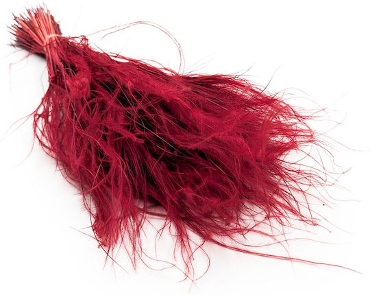 Dried Stipa Feather Grass Stipa Pennata Burgundy