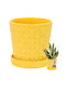 Kotarbau Ceramic Flower Pot Mustard With Saucer 15x15cm