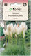 White Pampas Grass 0.1g