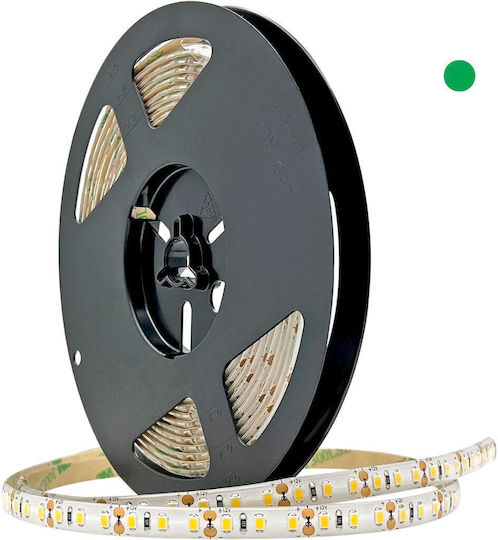 Geyer Αδιάβροχη Ταινία LED Eco 12V Πράσινο Φως