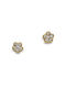 Dorian Gray Gold Plated Steel Stud Earrings