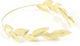 Metallic Gold Crown Design 4