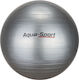 Aqua-Sport Pilates Übungsball in Grau Farbe