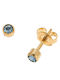 Senza Senza Steel Gold Plated Earrings with Blue Stones