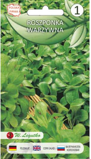 Salată Verde De Cambrai 1.5g Legutko Basic Series