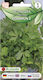 Petersilie Glattblatt Commun 2 2g Basic Serie W. Legutko