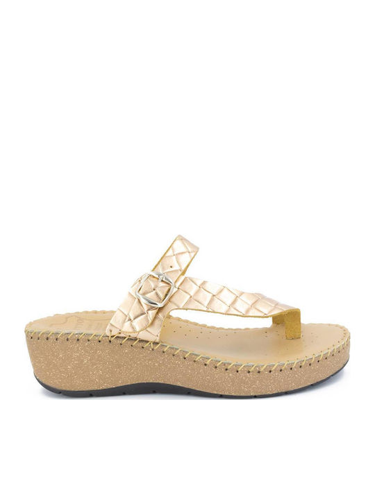 Anatomic Summer Women's Gold Platforms