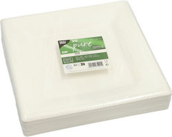 Sugarcane Plates Pure Rectangular Shape 26 Cm X 26 Cm Color White 50 Pcs