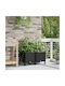 vidaXL Set 2 Planter Box-uri Din Plastic Negre