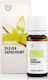 Vanilla Fragrance Oil 10ml