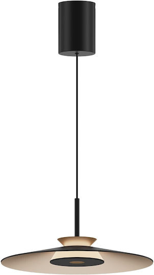 Black LED Pendant Ceiling Light with Warm White Light