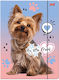 A4 Folder Elastic York Dog Bambino