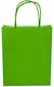 Due esse Green Paper Gift Bag 18x14x7cm