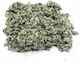 Agrest Artichoke Scolymus Scolymus 200gr