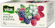 Vitax Inspirations Himbeer & Brombeere Instant Früchte Tee 20 Ιβίσκος 40gr