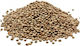 Kastoria Hülsenfrüchte Feine Linsen 1kg