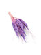 Mini Pampas Grass Lilac 10pcs