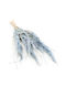 Mini Pampas Grass Blue 10pcs