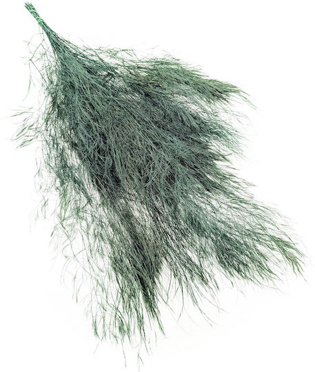 Stabilized Fern Tree-like