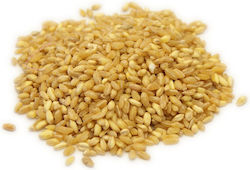 Mamoutzis Wheat Seeds 500gr