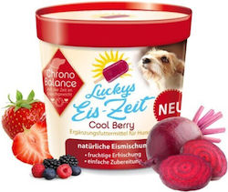 Balance Dog Ice Cream Balance Dog Ice Cream