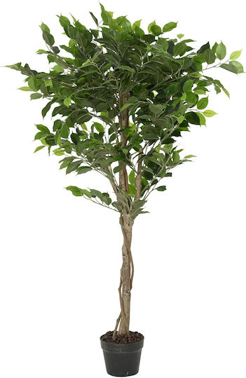 Διακοσμητικό Τεχνητό Φυτό Ficus Φ72x120cm Kaemingk Km-899837
