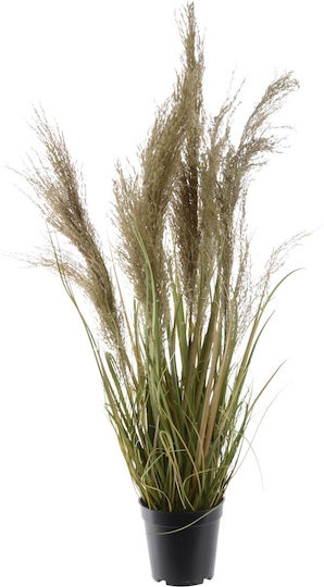 Διακοσμητικό Τεχνητό Φυτό "grass Plume" 40x40x115cm Kaemingk Km-800978