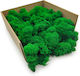 Mușchi de Ren Curat Finlandez Verde 50g Net
