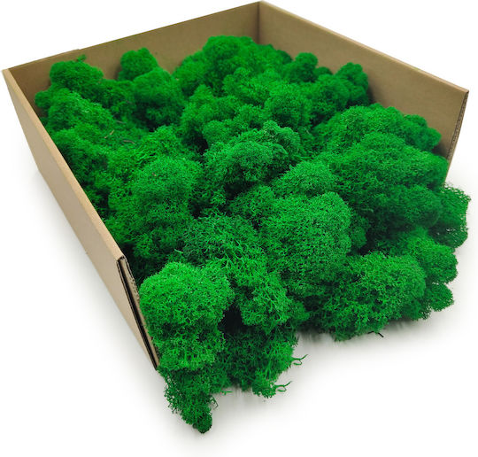 Reindeer Moss Finnish Cleaned Green 250g Net