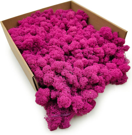 Reindeer Moss Finnish Cleaned Fuchsia 250g Net
