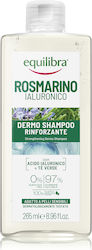 Equilibra Shampoo Gegen Haarausfall 265ml