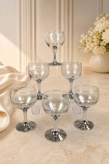 SteweHome Set Wasserbrillen Glas Silber 185ml 6 Stück