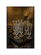 SteweHome Set Of Water Coffee/Freddo Liqueur/Ouzo Glasses In White Colour Goblet 150ml 6 Pieces