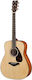 Yamaha Fg800 Natürliche 02 Akustikgitarre