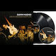 Glenn Hughes Live In Wolverhampton 1 Vinyl + 1 Cd