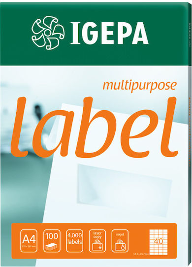 Igepa Self-adhesive Labels 100 Pcs 105x74 Mm