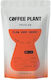 Coffee Plant Filter Kaffee Arabica Äthiopien Flow Very Berry in Körner 100g