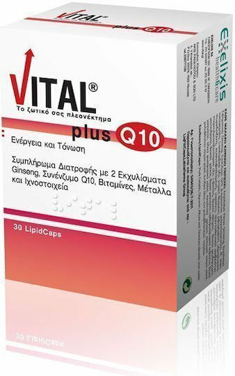 Vital Plus Q10 Πολυβιταμίνη για Ενέργεια & Ενίσχυση του Ανοσοποιητικού 10mg 30 μαλακές κάψουλες